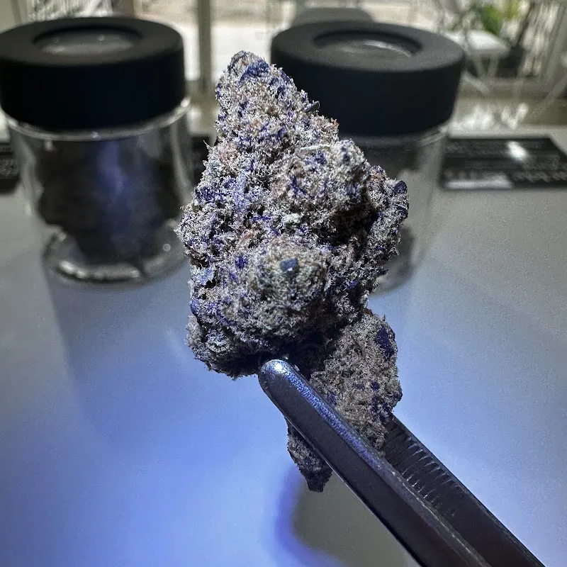 Blessed Ayutthaya Cannabis (ร้านกัญชาอยุธยา)(weed)