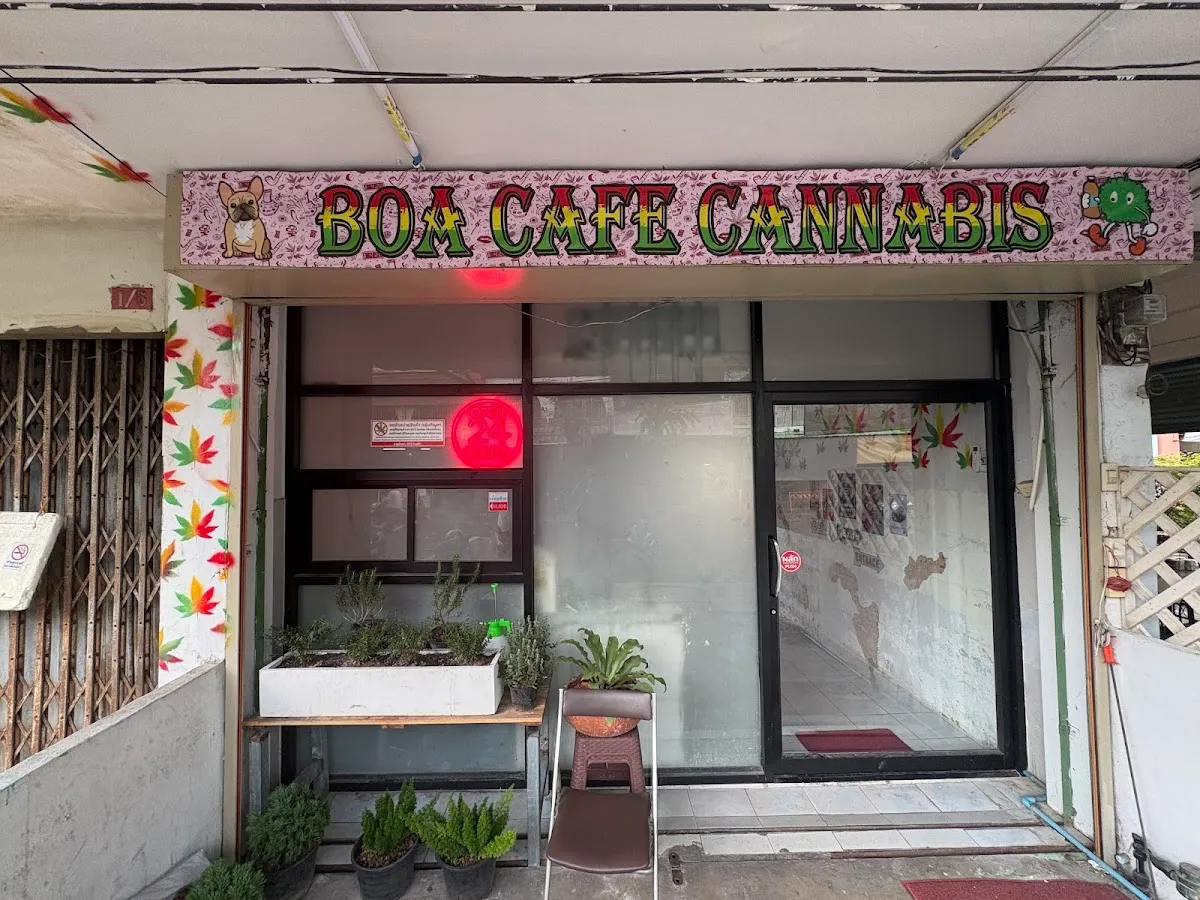 Boa Cafe Cannabis