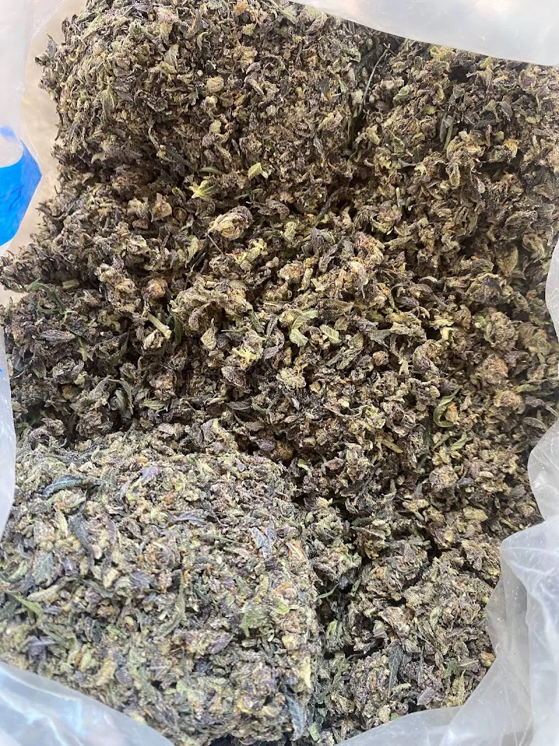 ร้านขายกัญชา BoatSativa420Cannabis