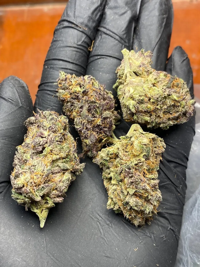 ร้านขายกัญชา BoatSativa420Cannabis