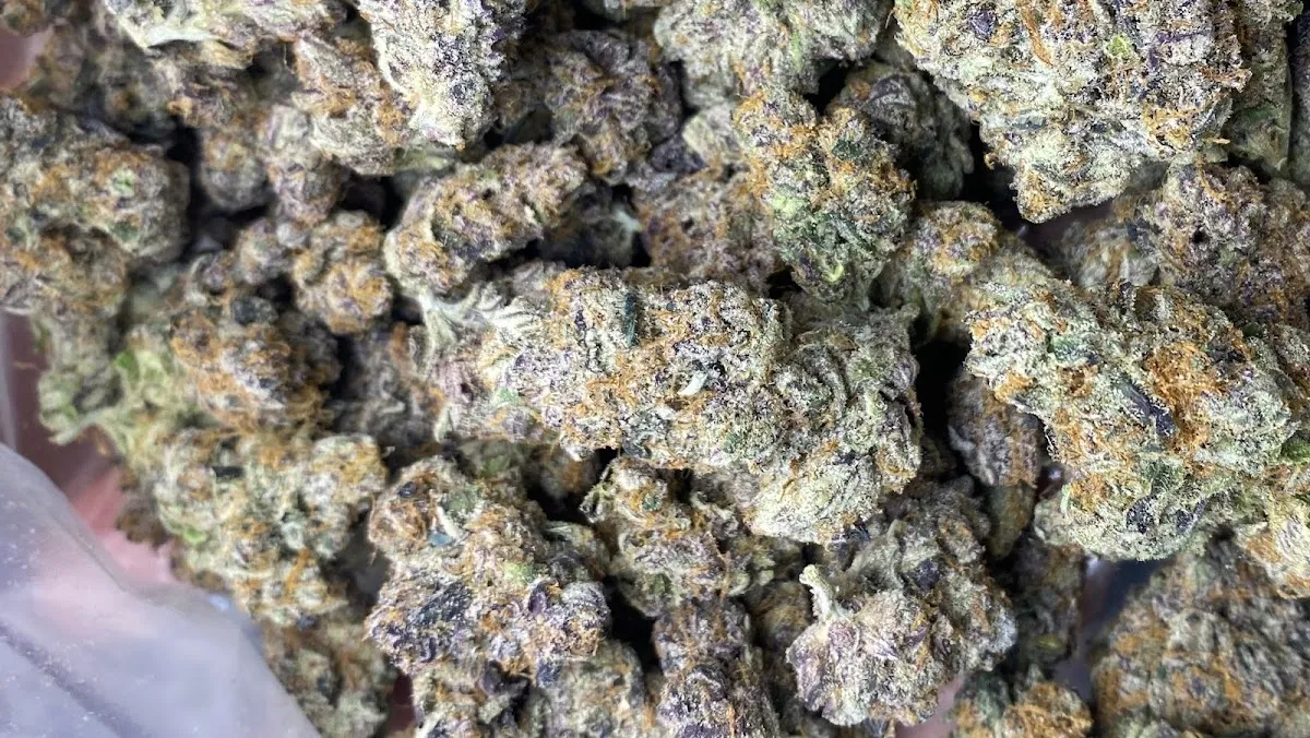 ร้านขายกัญชา BoatSativa420Cannabis