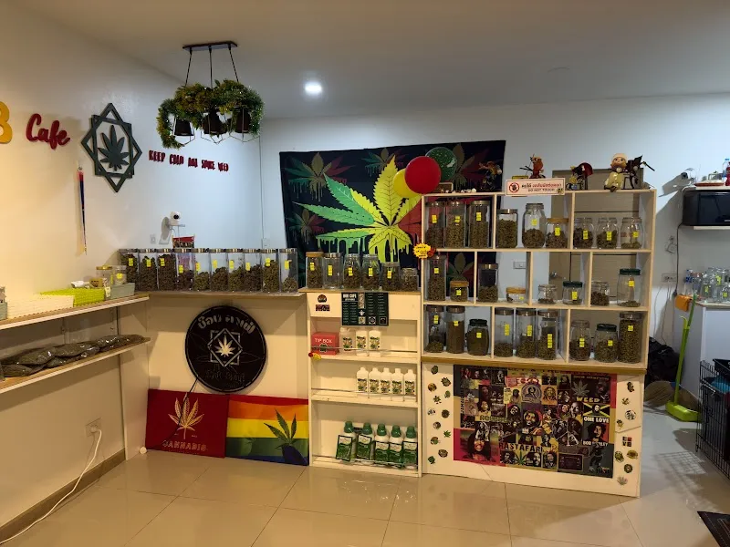 กัญชา จันทบุรี BOBCAFE