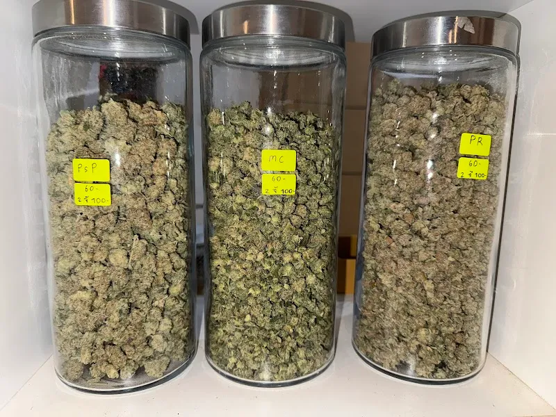 กัญชา จันทบุรี BOBCAFE