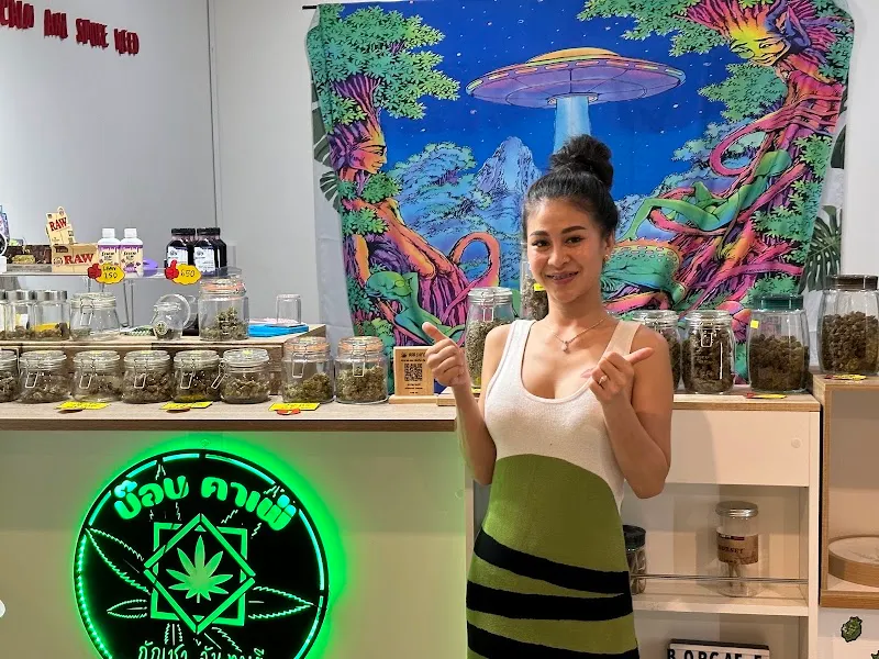 กัญชา จันทบุรี BOBCAFE