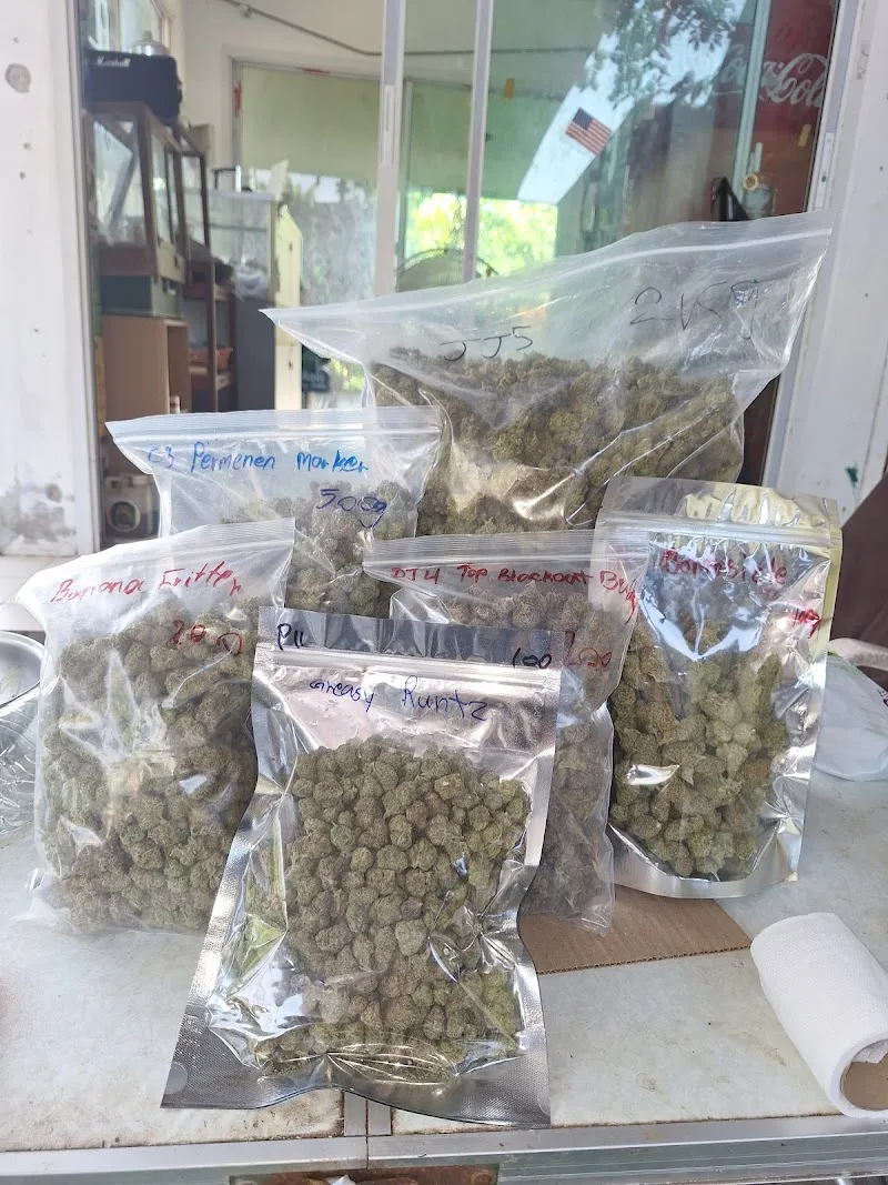 ร้านกัญชา Boss&Pan Smokker weed