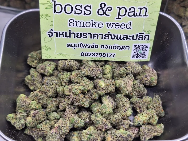 ร้านกัญชา Boss&Pan Smokker weed