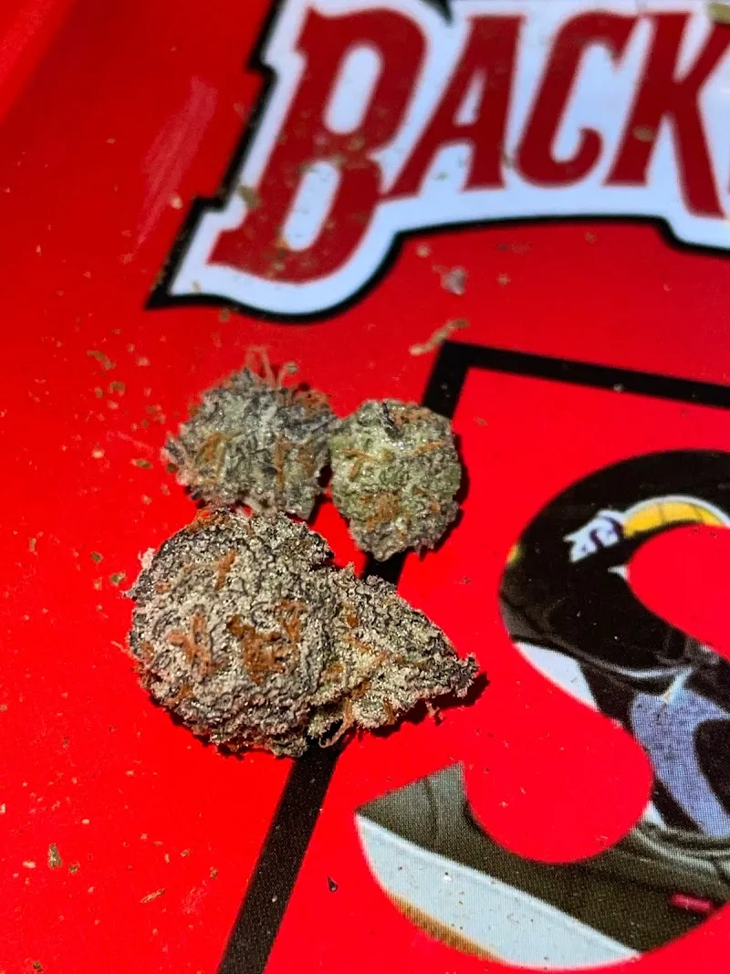 BT Halloweed