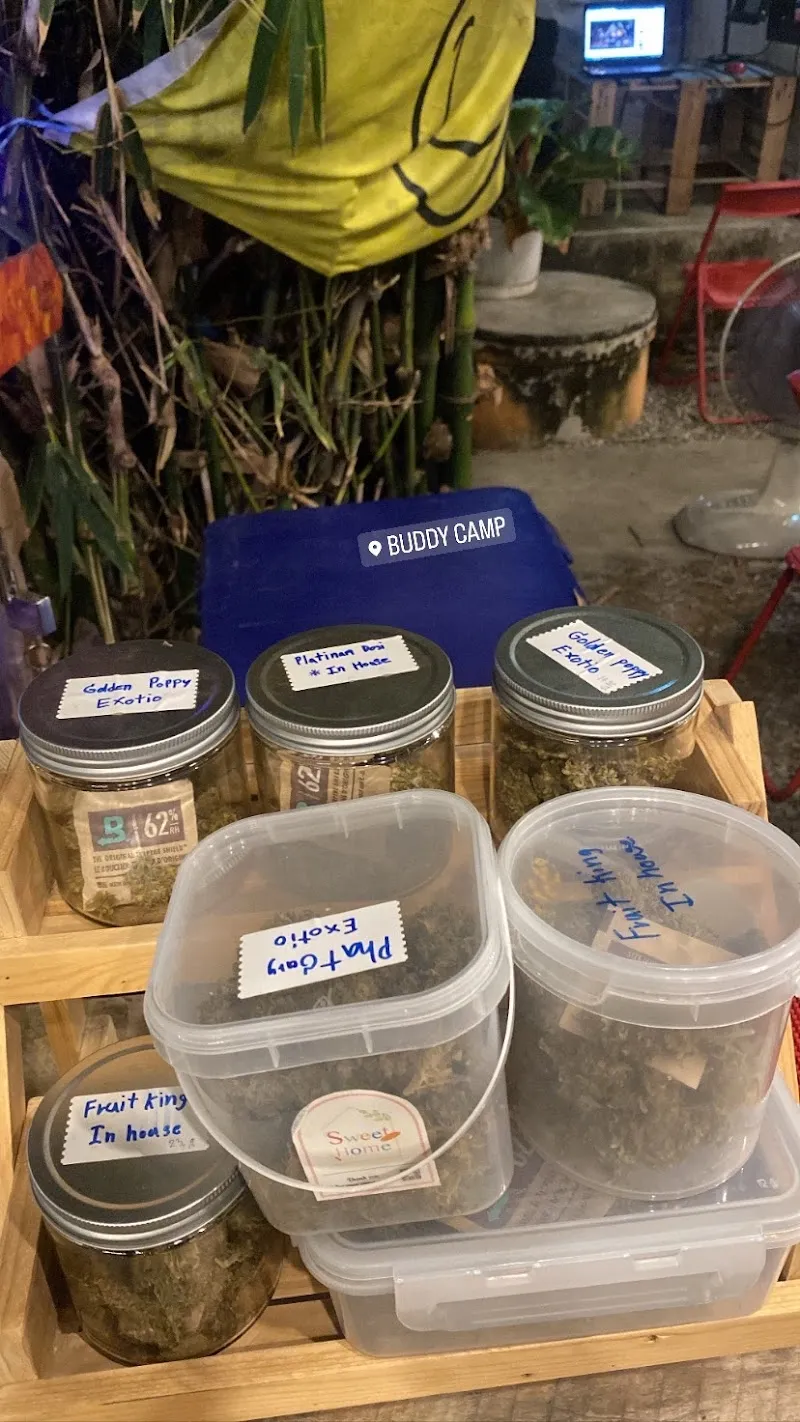 Buddycamp cannabis shop