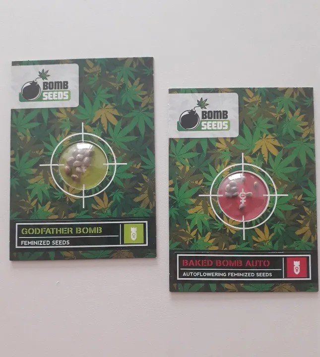 เมล็ดกัญชงถูกกฎหมาย By แซนด์พลัส  Legal Hemp Seeds By Sand Plus