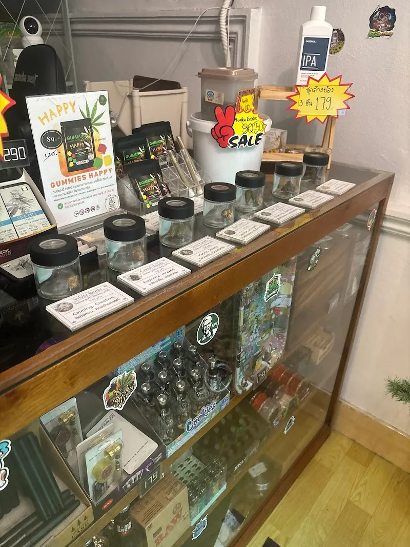 กัญชาหาดใหญ่ by MOON LIGHT cannabis hatyai