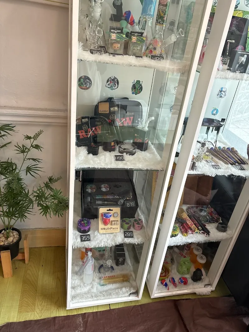 กัญชาหาดใหญ่ by MOON LIGHT cannabis hatyai