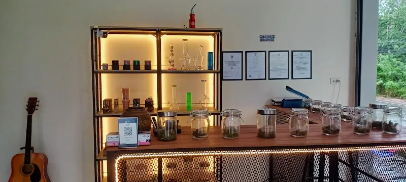 ร้านขายกัญชา CANABIZ GROWER SHOP
