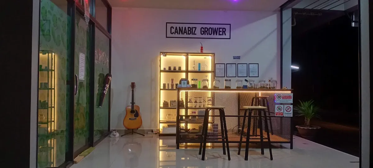 ร้านขายกัญชา CANABIZ GROWER SHOP