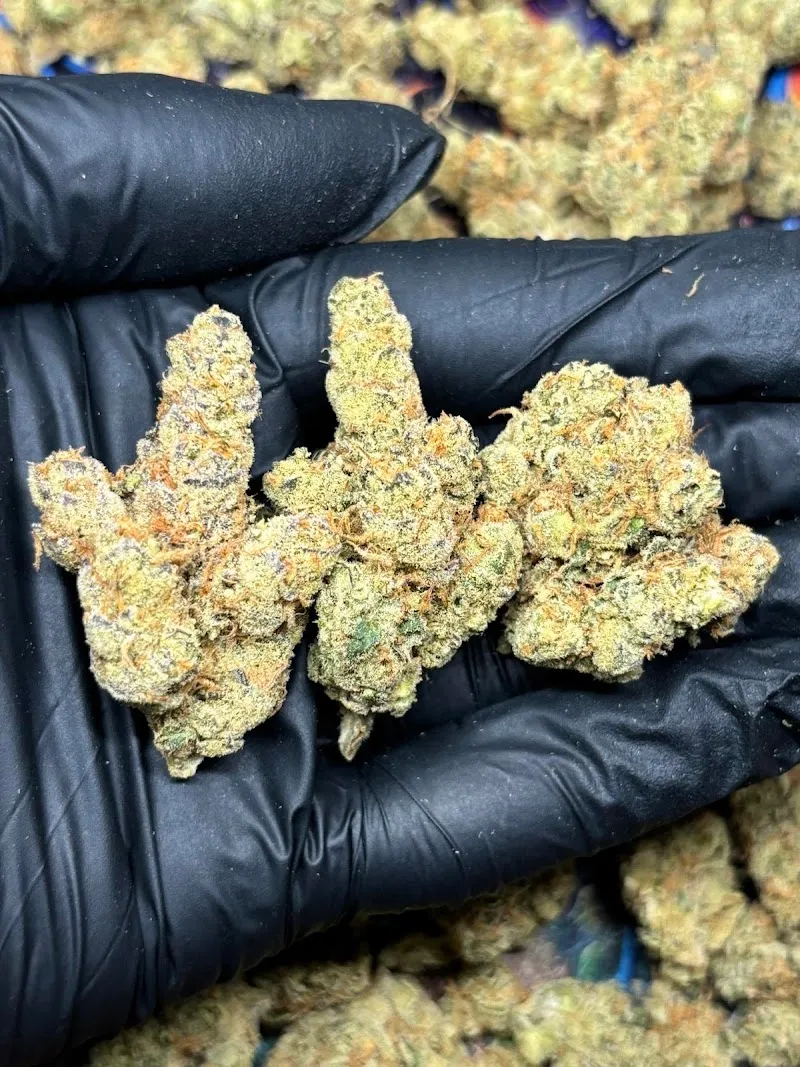 Cannabest weed shop hatyai