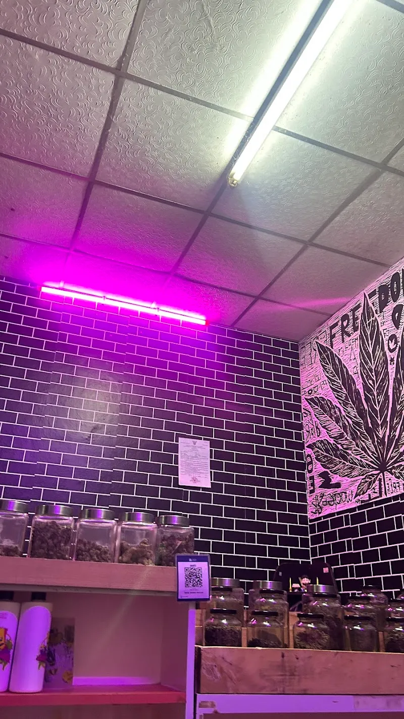 พาเพลิน“Cannabis”