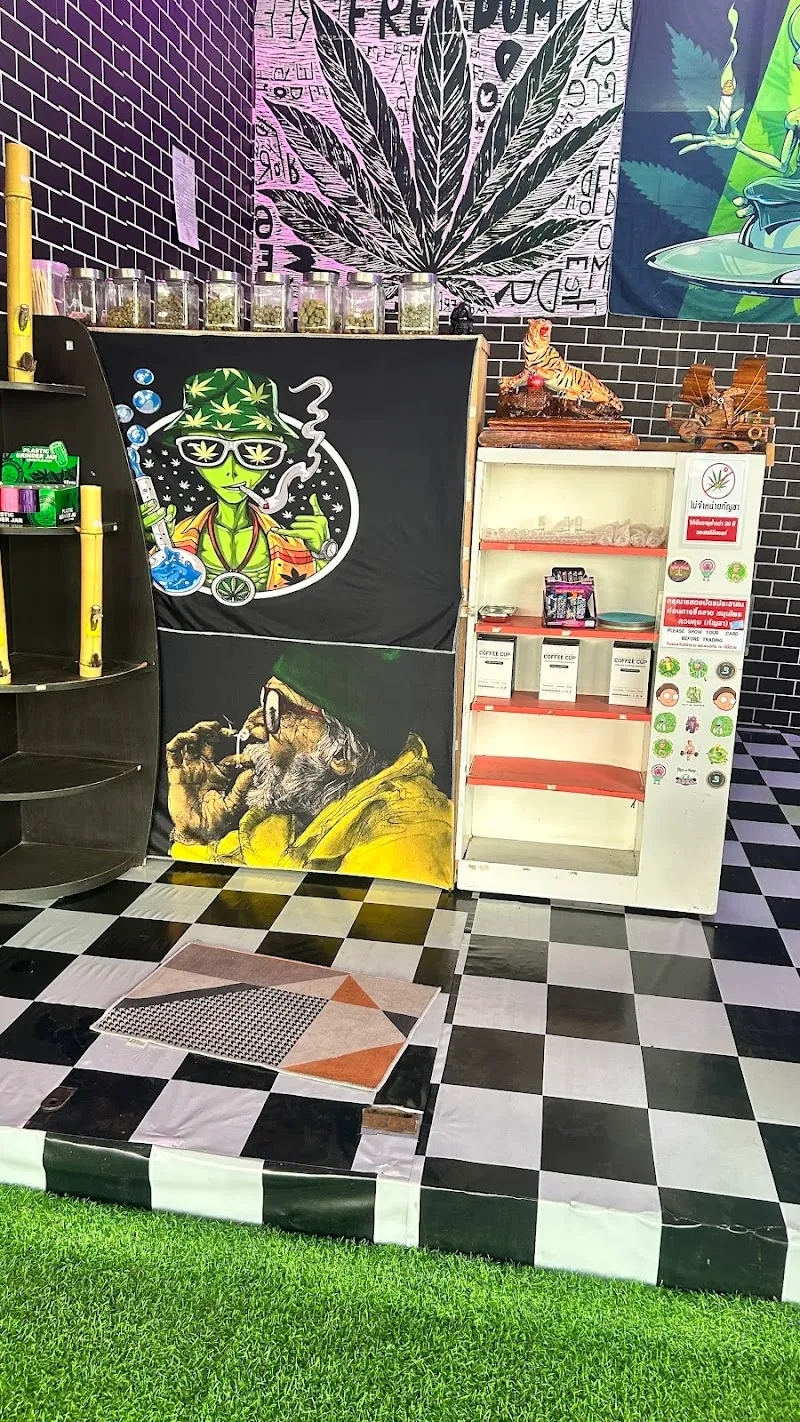 พาเพลิน“Cannabis”