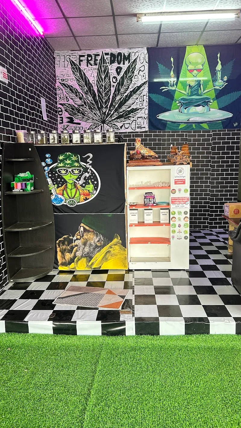 พาเพลิน“Cannabis”