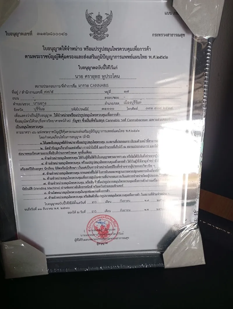 มารวยCANNABIS