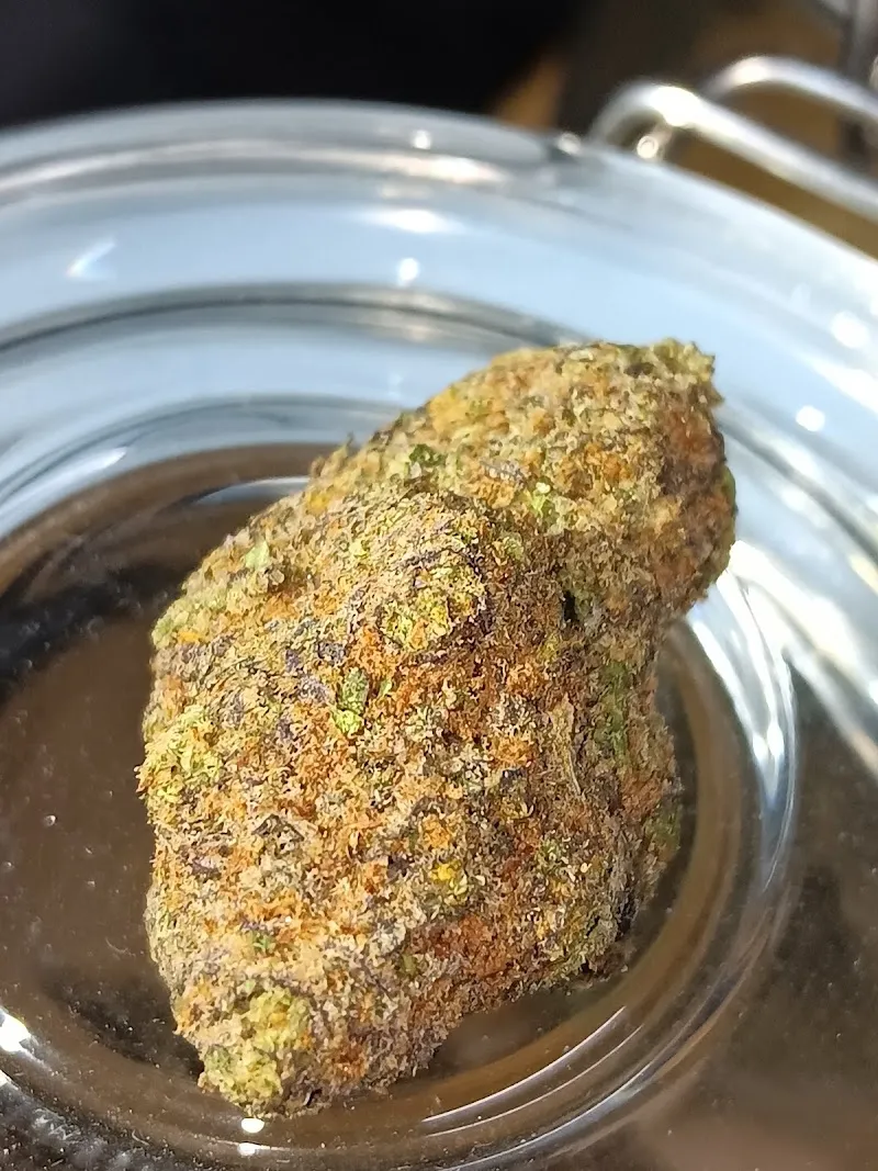 เพลินกัญ cannabis