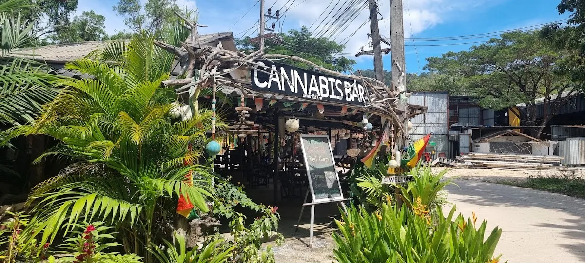 Cannabis bar and Restaurant