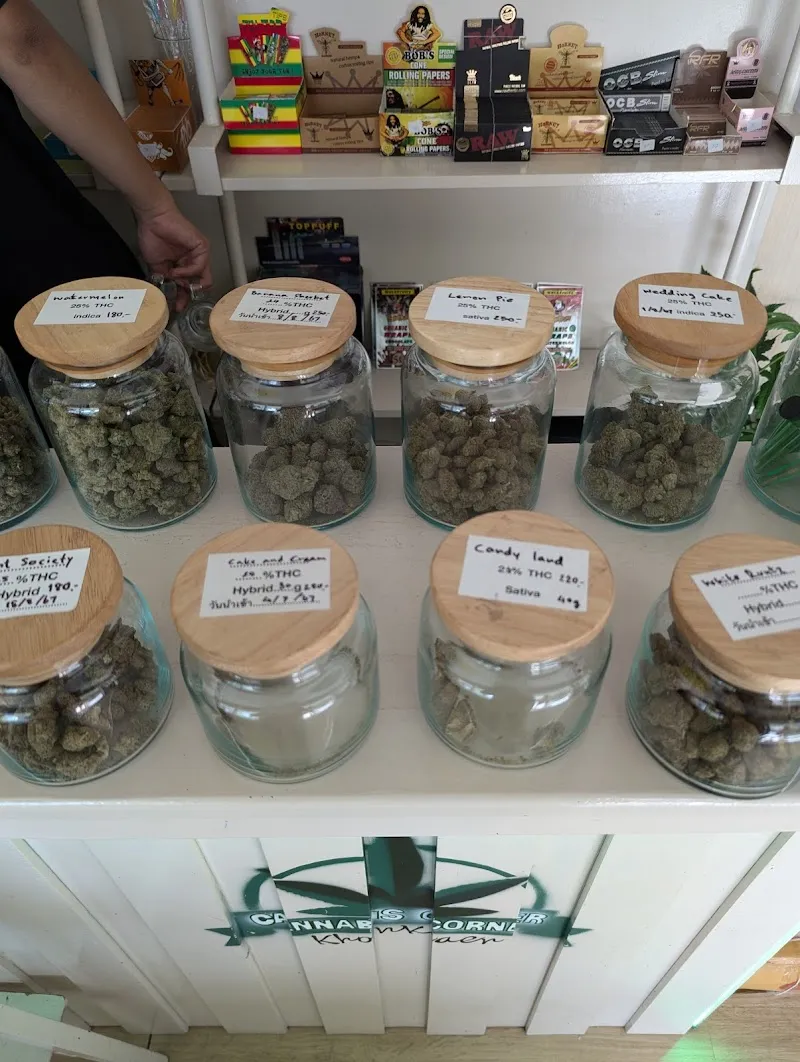 Cannabis Corner Khonkaen & Moterbike for Rent