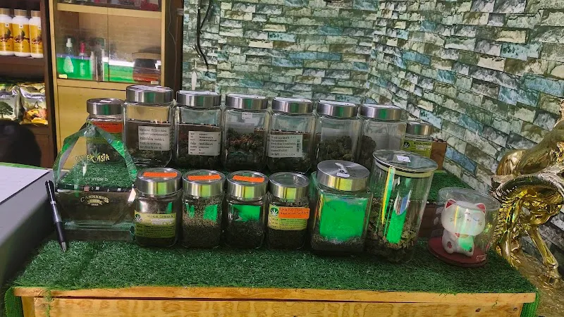 Cannabis Dispensary