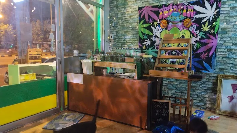 Cannabis Dispensary