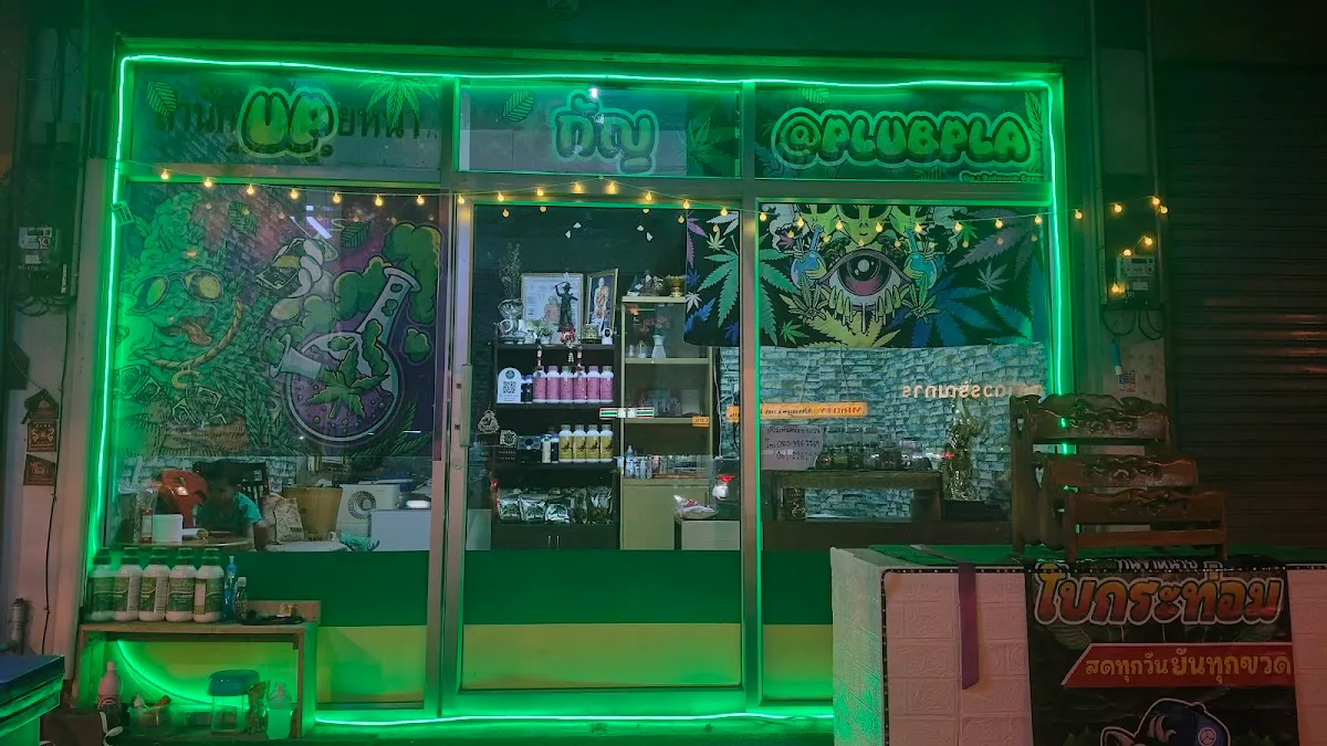 Cannabis Dispensary