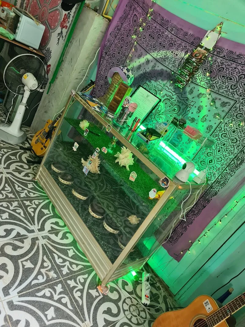 Cannabis for life Lanta