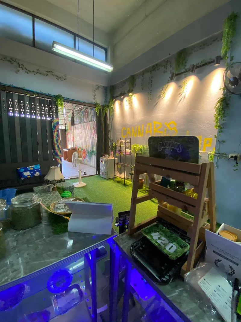 จุดเติมซา Cannabis.