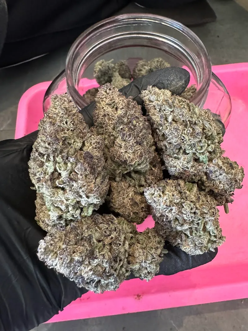 Cannabis haze