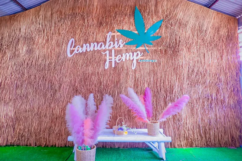 Cannabis Hemp Ayothaya cafe