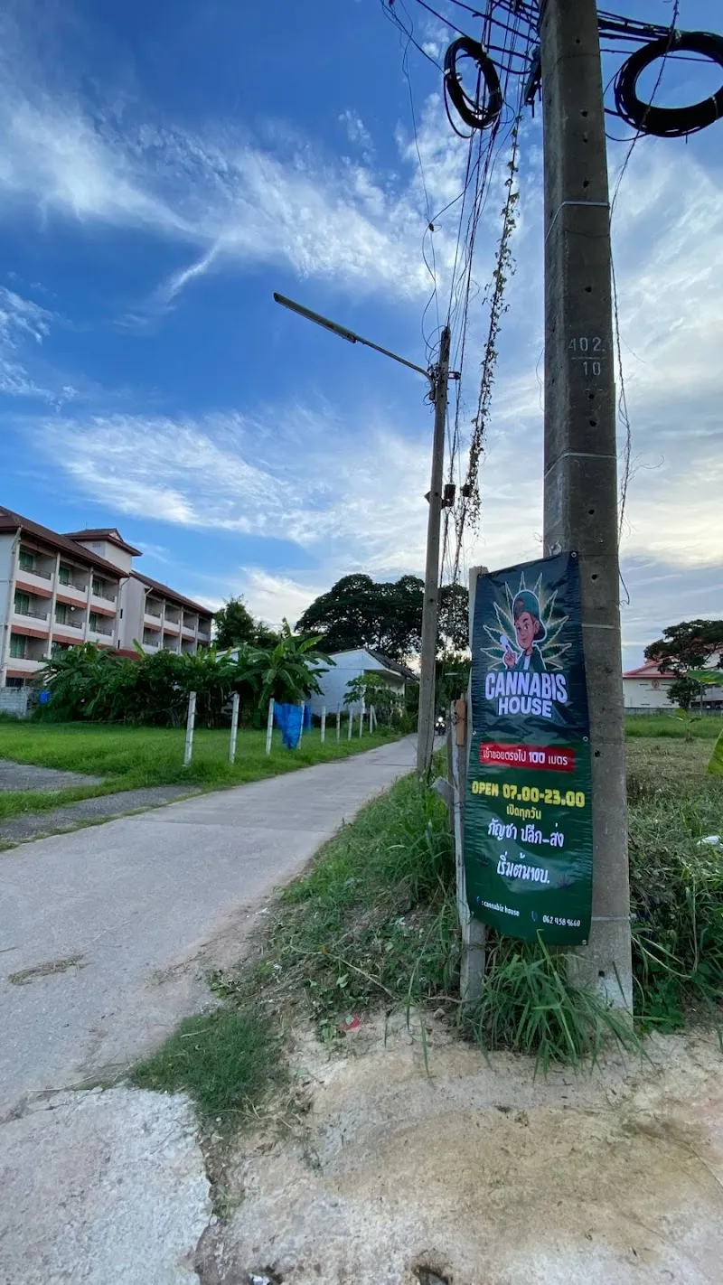 Cannabis house (บ้านกัญชา,บึงแก่นนคร,เมืองเก่า)