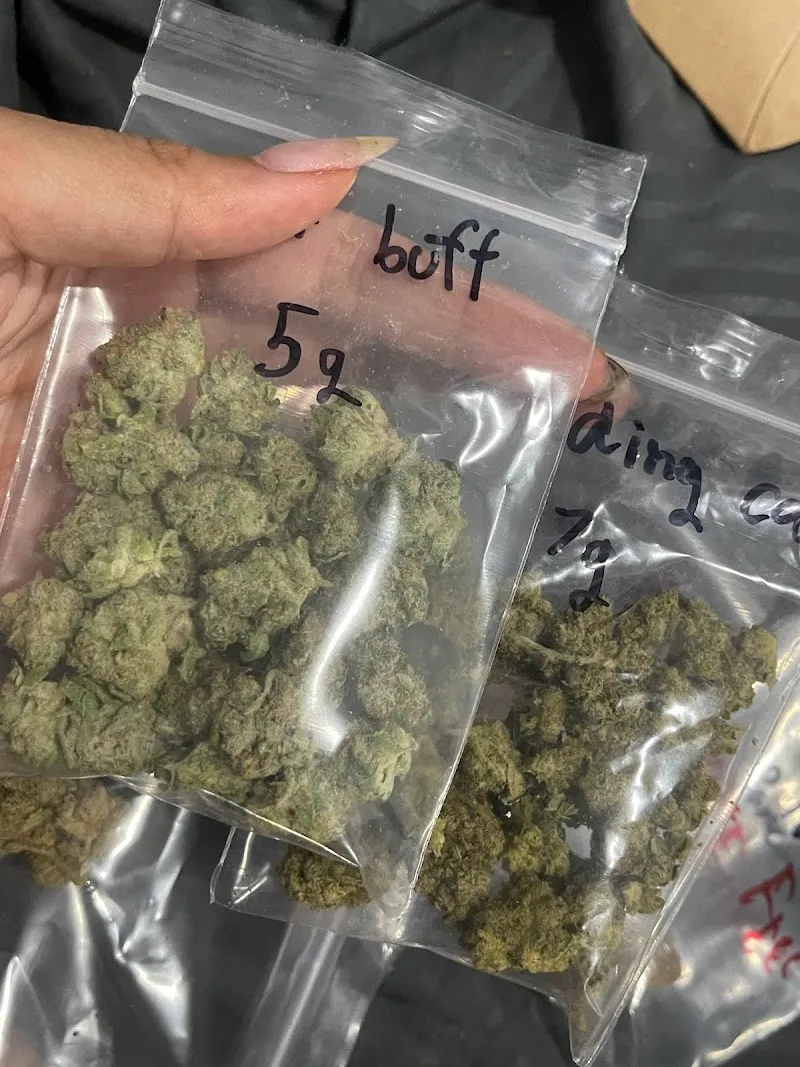 Cannabis house (บ้านกัญชา,บึงแก่นนคร,เมืองเก่า)