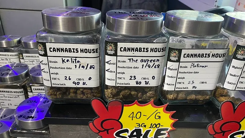 Cannabis house (บ้านกัญชา,บึงแก่นนคร,เมืองเก่า)