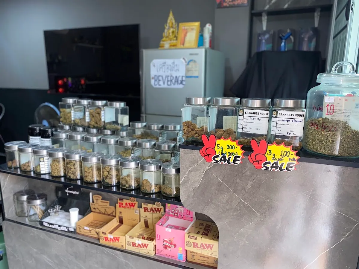 Cannabis house (บ้านกัญชา,บึงแก่นนคร,เมืองเก่า)