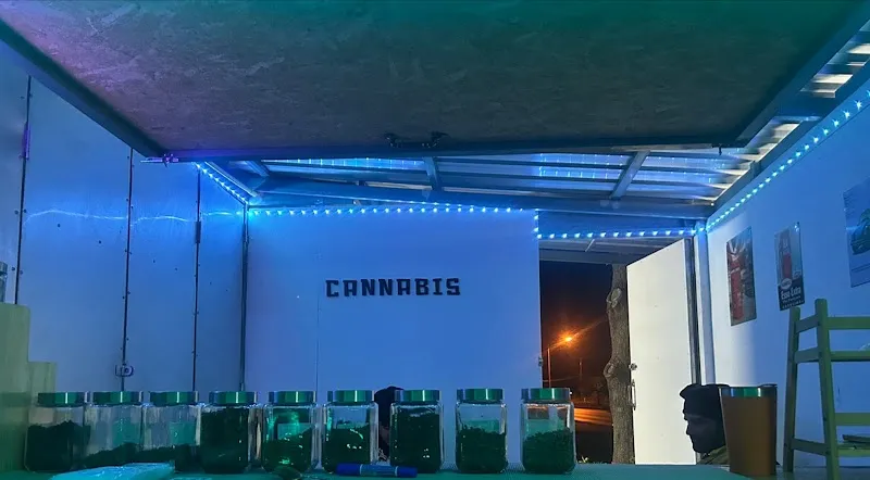 Cannabis(กัญชา)