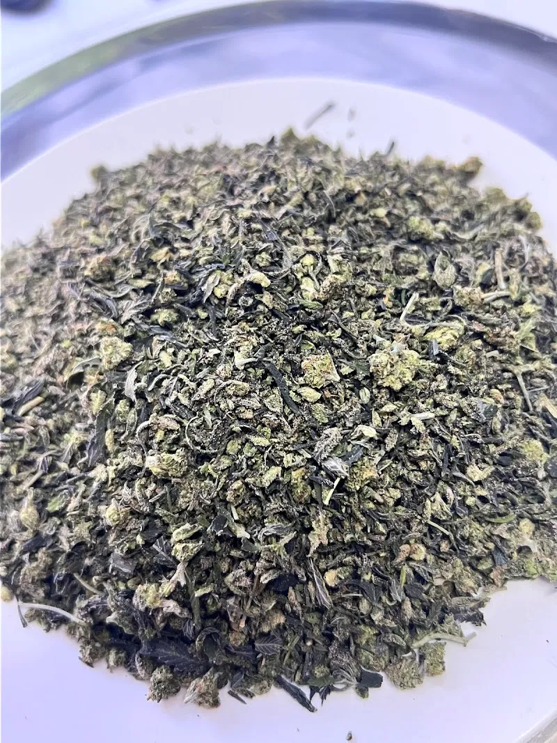 Cannabis(กัญชา)