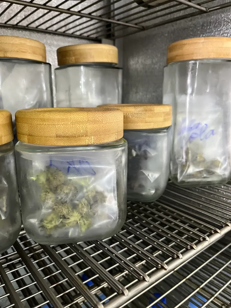 ท็อปกัญ Cannabis
