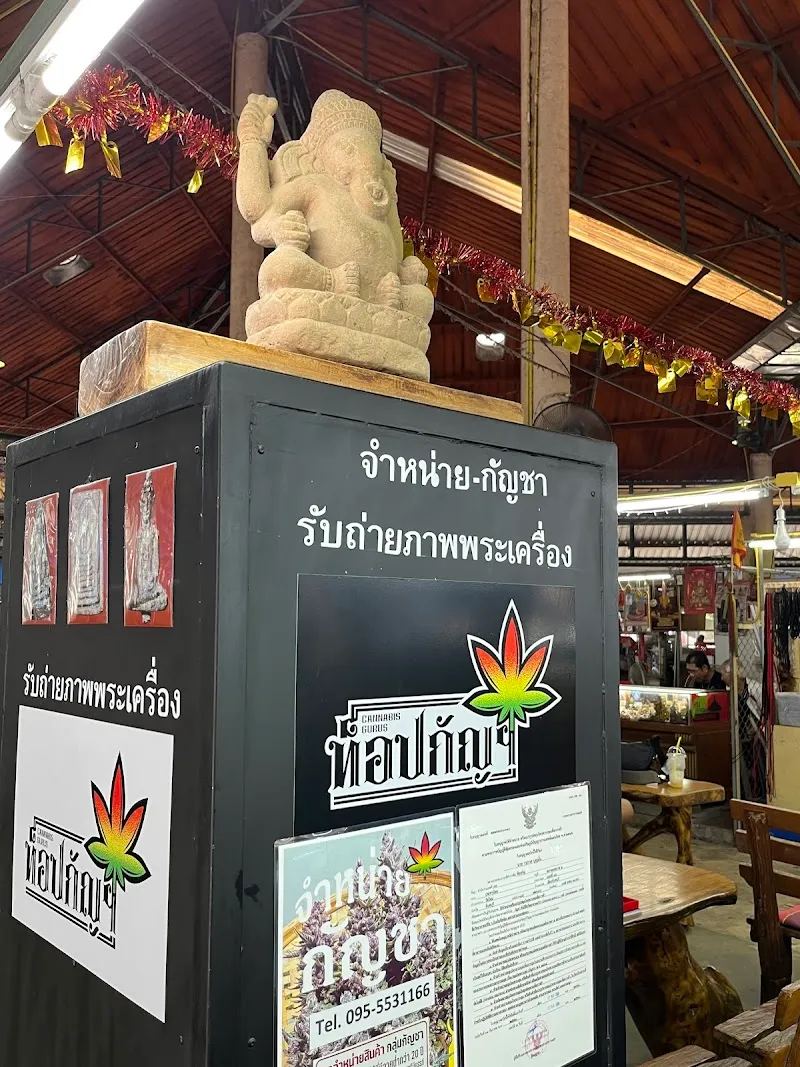 ท็อปกัญ Cannabis