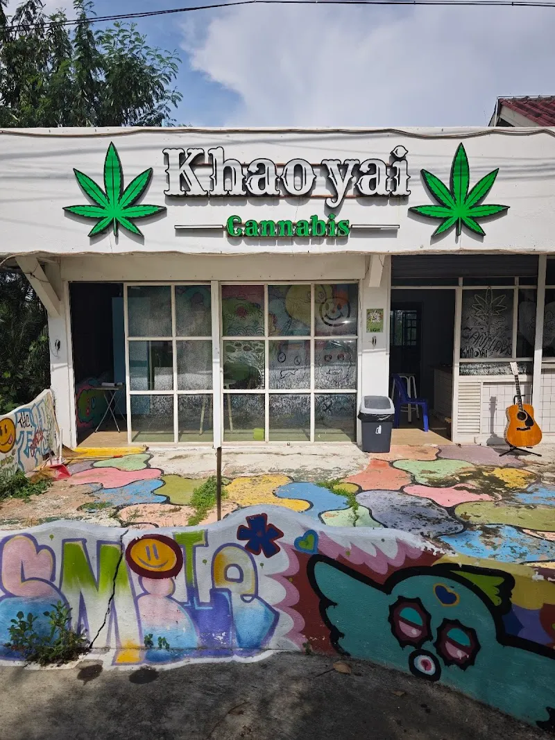 cannabis khaoyai pakchong