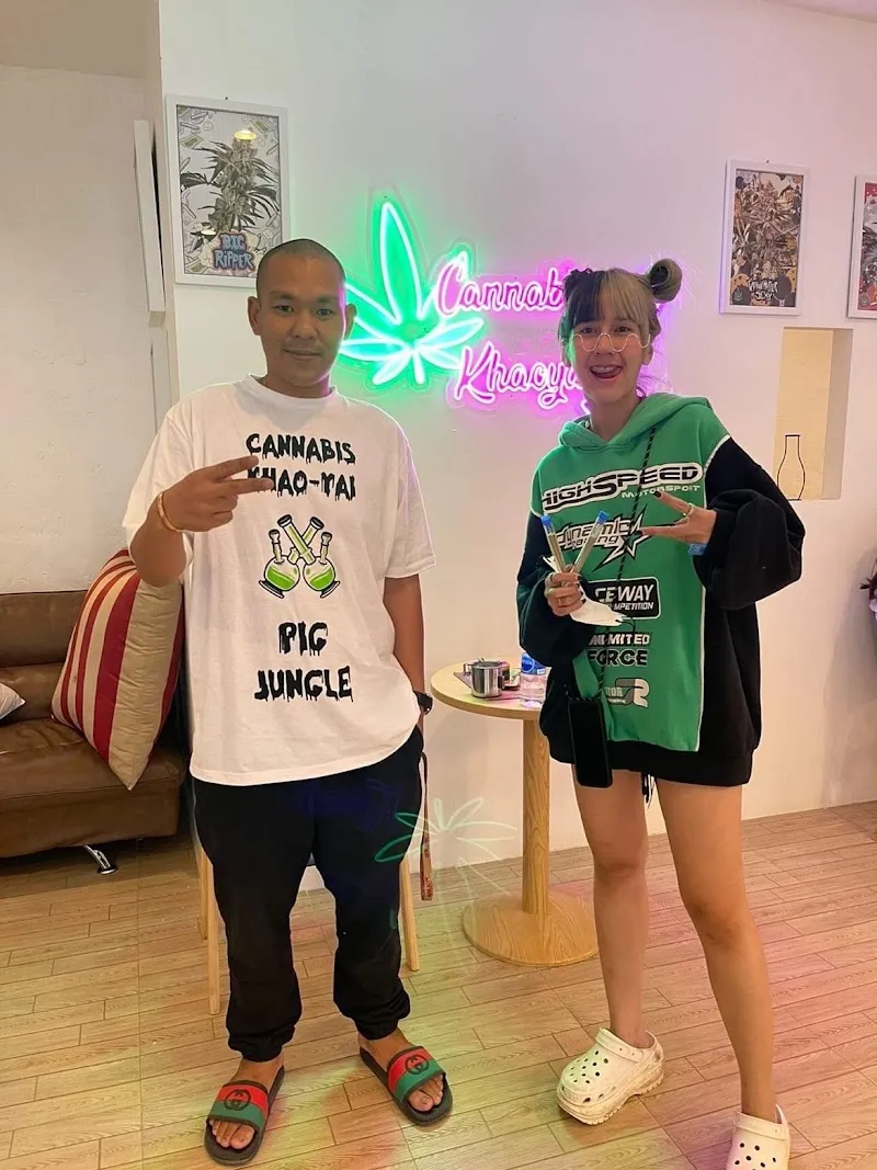 cannabis khaoyai pakchong