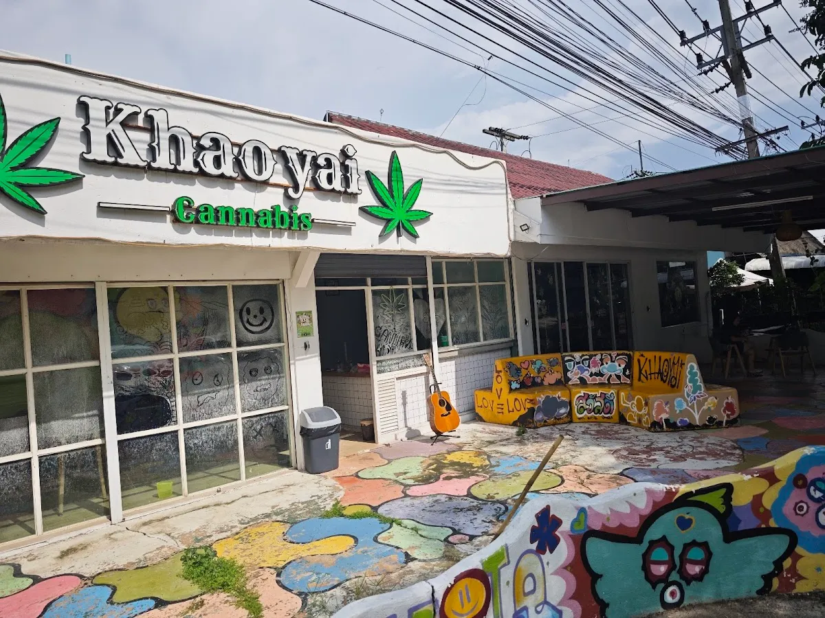 cannabis khaoyai pakchong