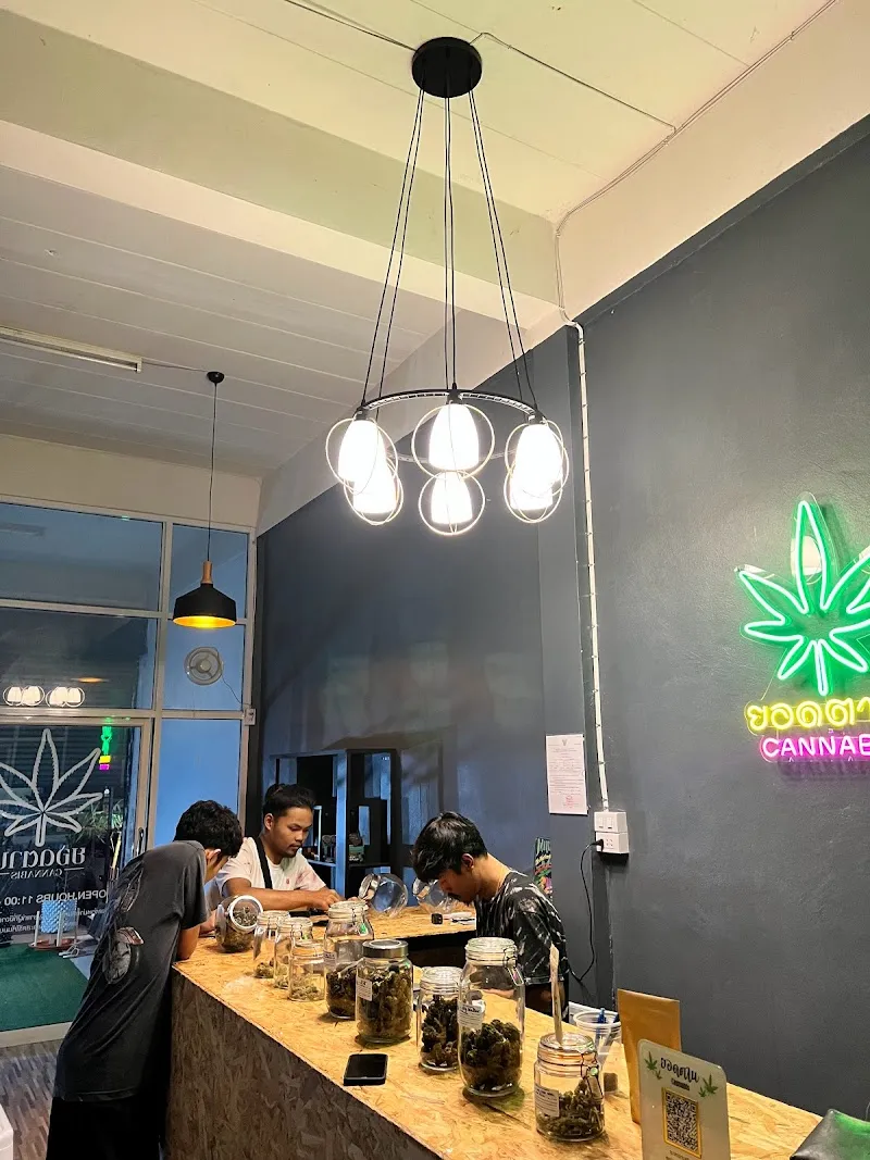 ยอดตาน CANNABIS