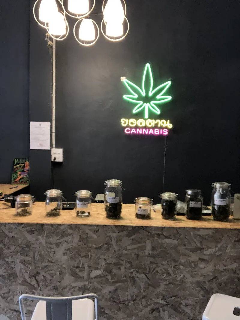 ยอดตาน CANNABIS