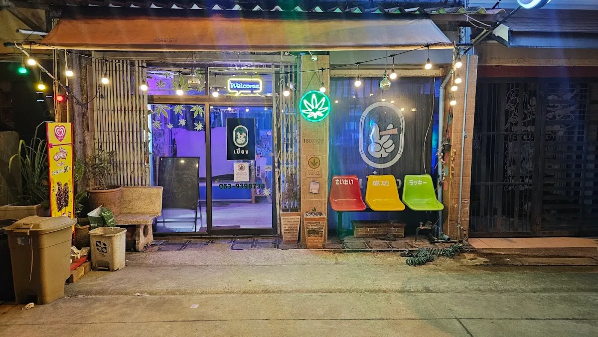 เปี๋ยง กัญชาระยอง Cannabis Rayong