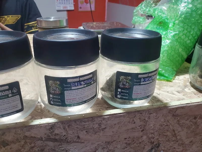 CANNABIS SHOP ตาลุงหัวล้านออแกนิค3