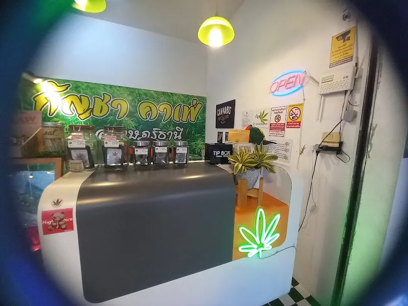 กัญชาคาเฟ่Cannabis Shop