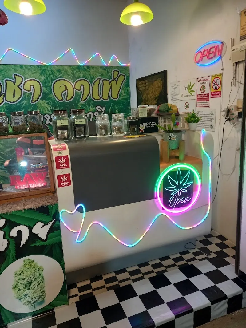 กัญชาคาเฟ่Cannabis Shop
