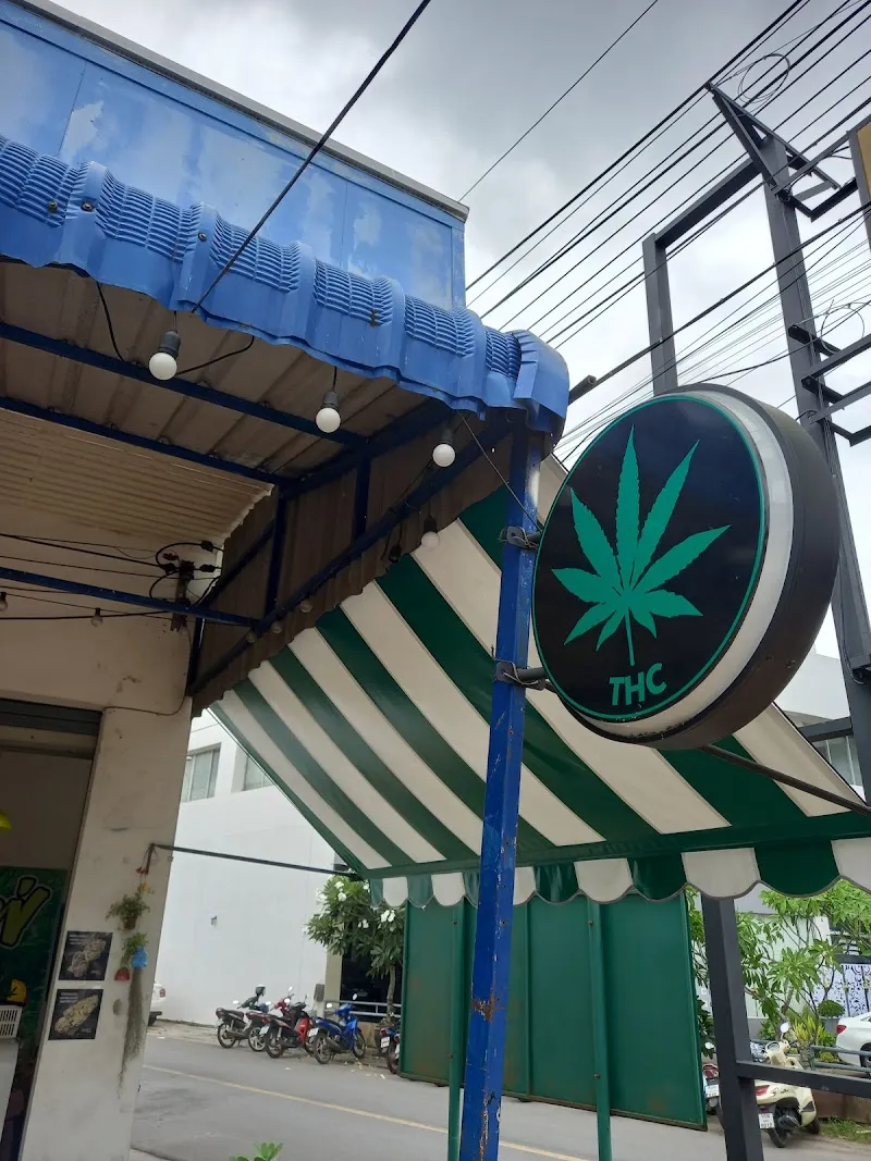 กัญชาคาเฟ่Cannabis Shop